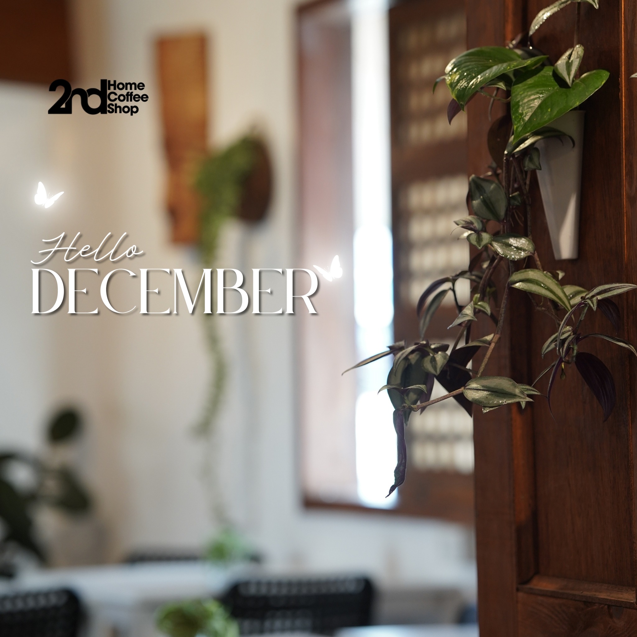 December seasonal post and interior of 2nd Home Coffee Shop